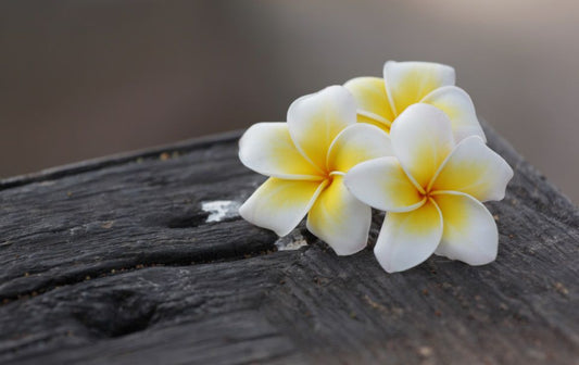 Мonoi oil for tropical beauty