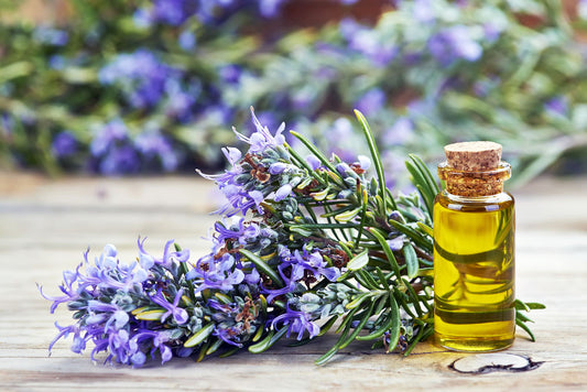 The miraculous benefits of Rosemary oil for the skin!