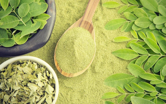 Moringa - the powerful herb for beautiful skin