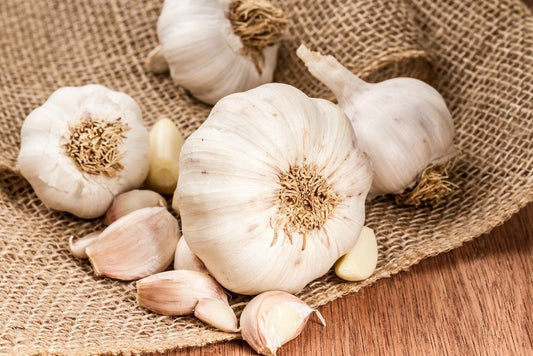 The benefits of the garlic for the skin