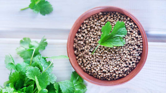 Coriander works like magic for many skin problems