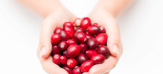 Experience the bunch of beauty benefits of the cranberries