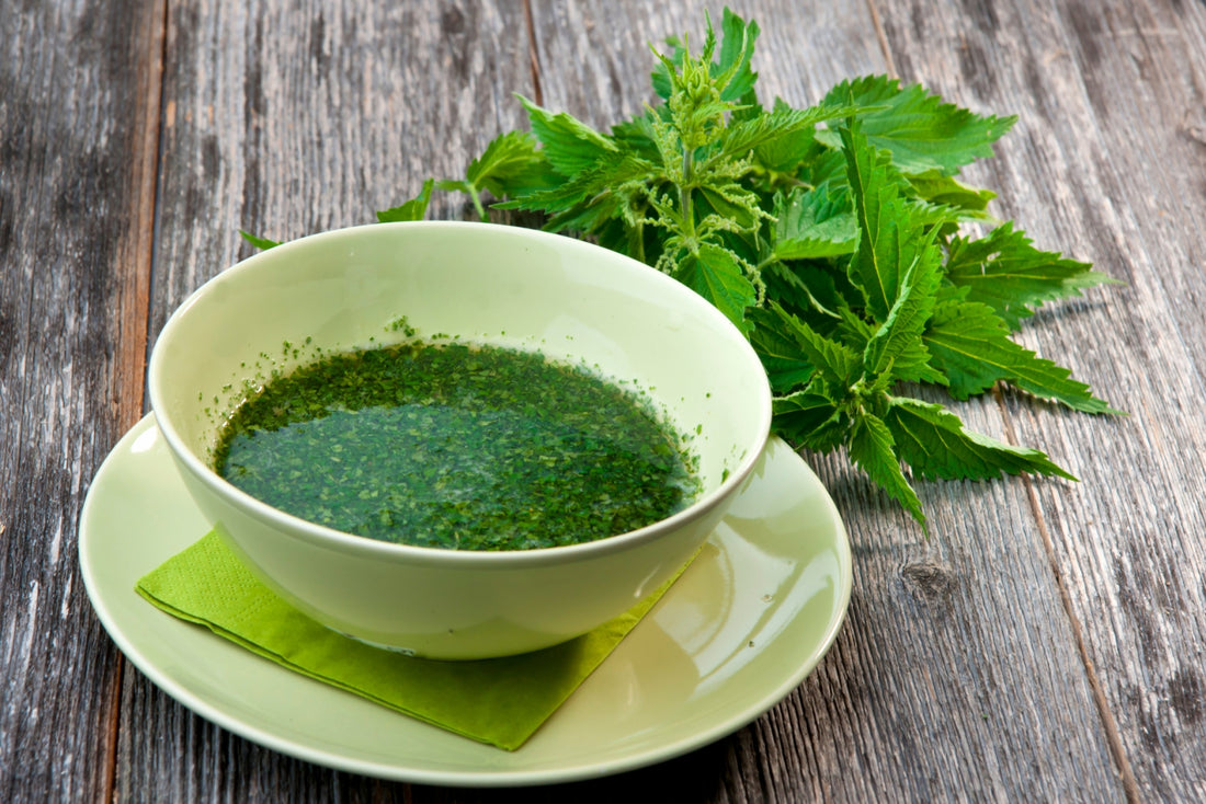 Nettle for skin problems