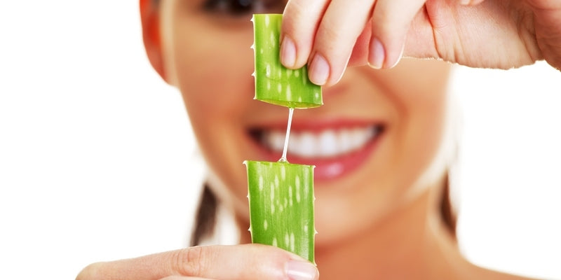 Aloe Vera - “plant of immortality”
