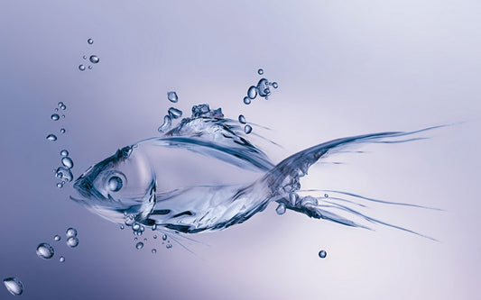 Fish collagen - an antioxidant powerhouse