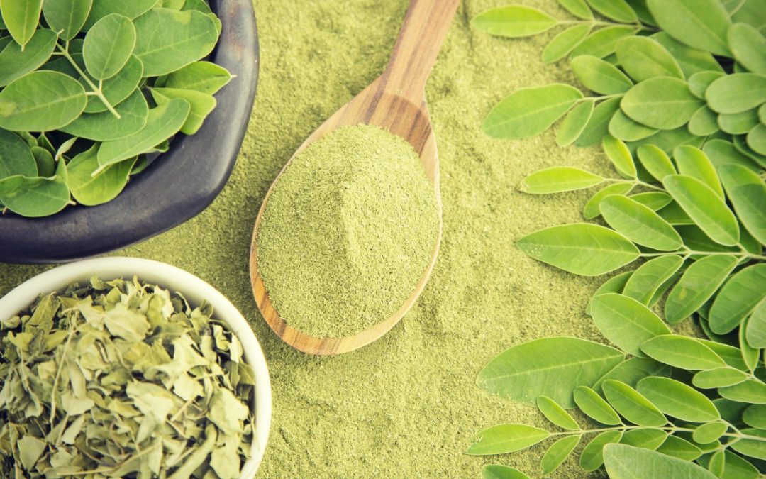 Moringa - the powerful herb for beautiful skin