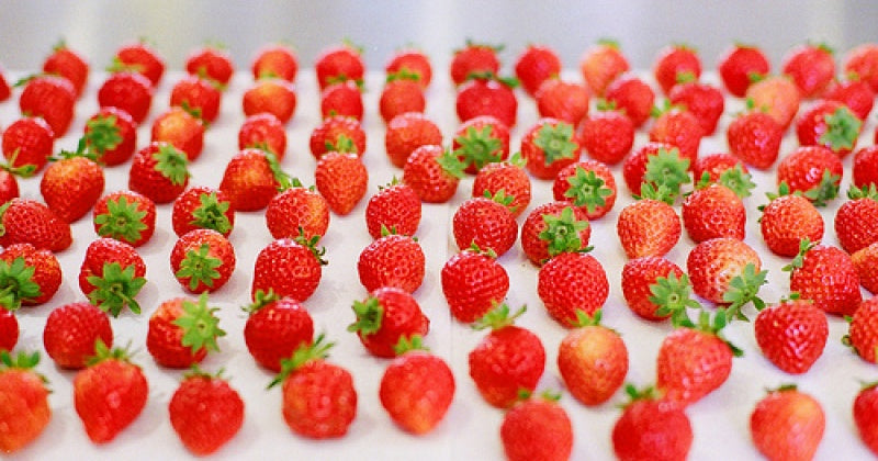 Why are the strawberries beneficial for the skin?