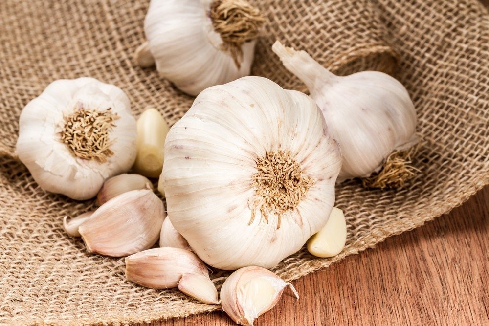 The benefits of the garlic for the skin