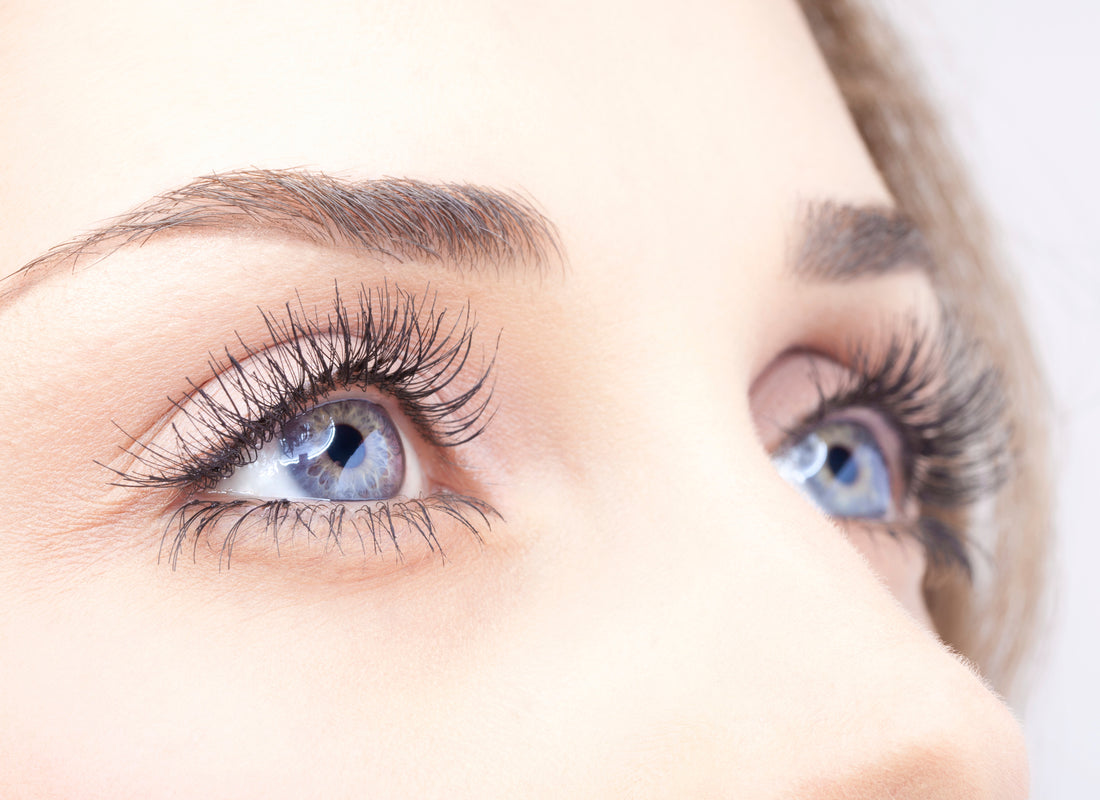 Take care of your Eyelashes